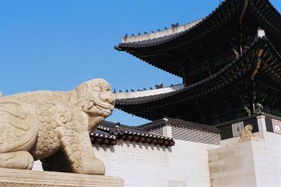 필름 넣기부터 사진관까지! 찍으면서 배우는 필름카메라 원데이 출사클래스(필카 대여가능)